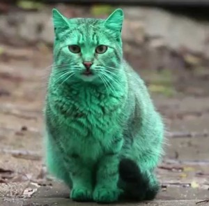 greencat